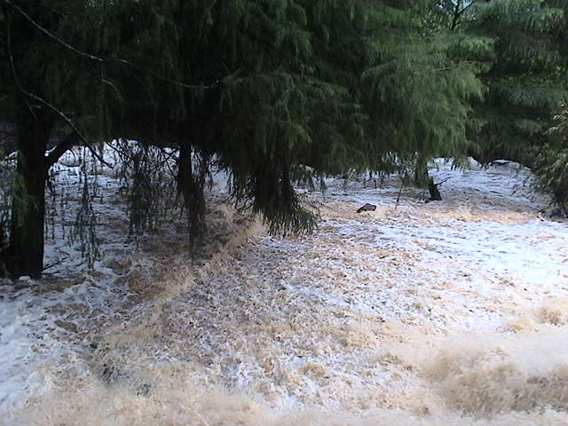 Photo of Los Sabinos