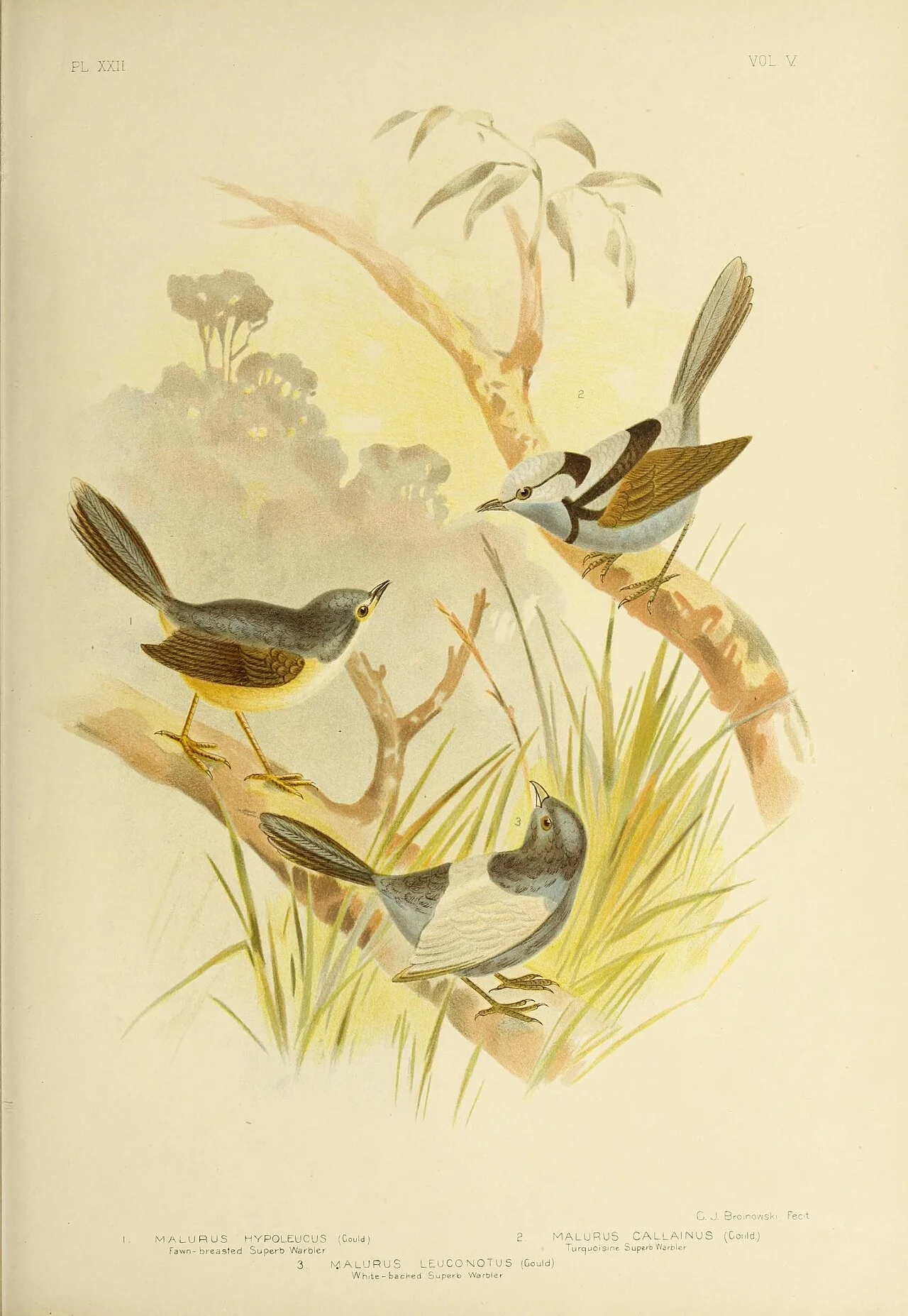 Photo of Lovely Banks