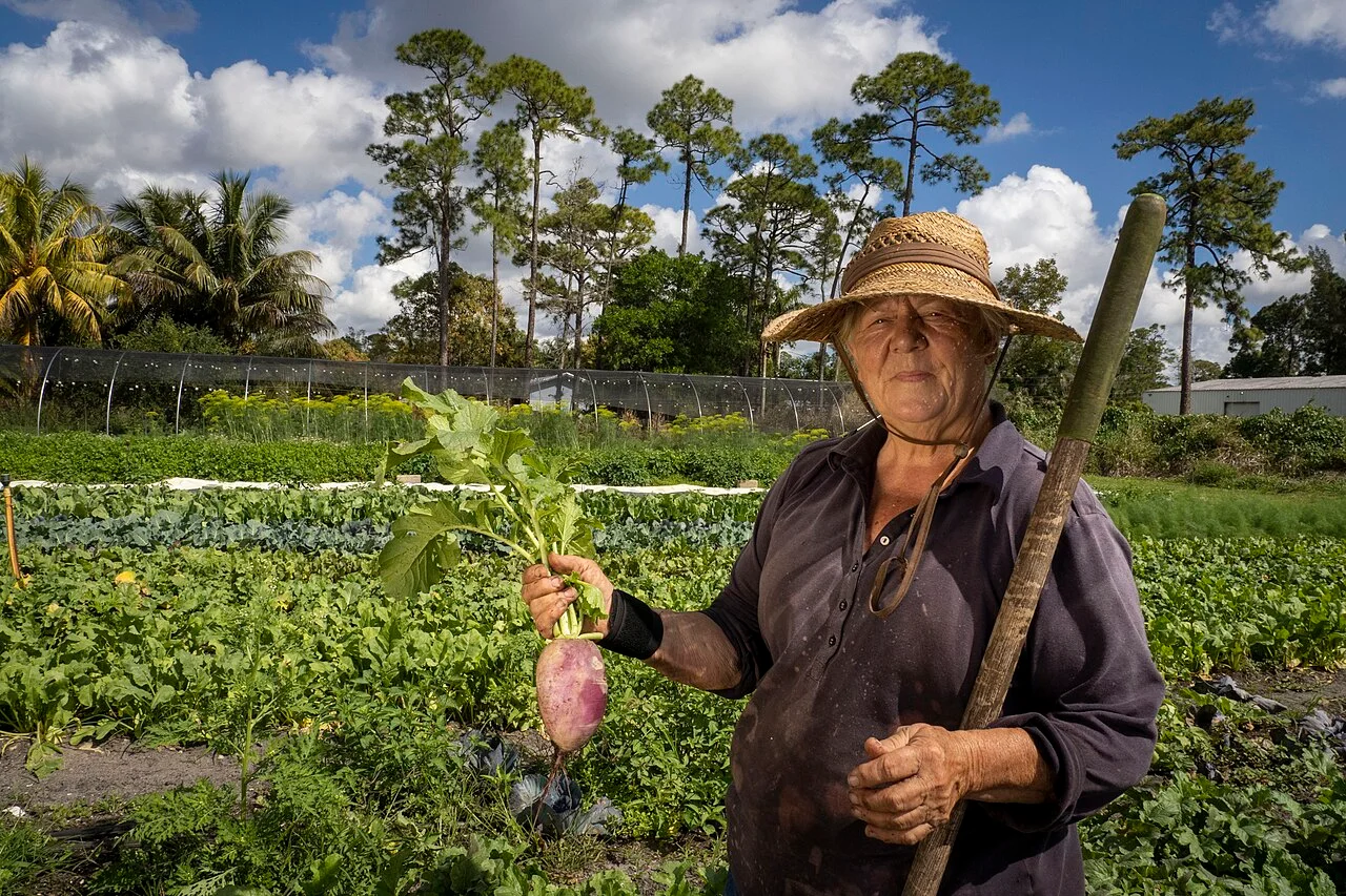 Photo of Loxahatchee Groves
