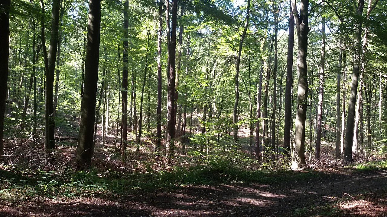 Photo of Ludweiler-Warndt