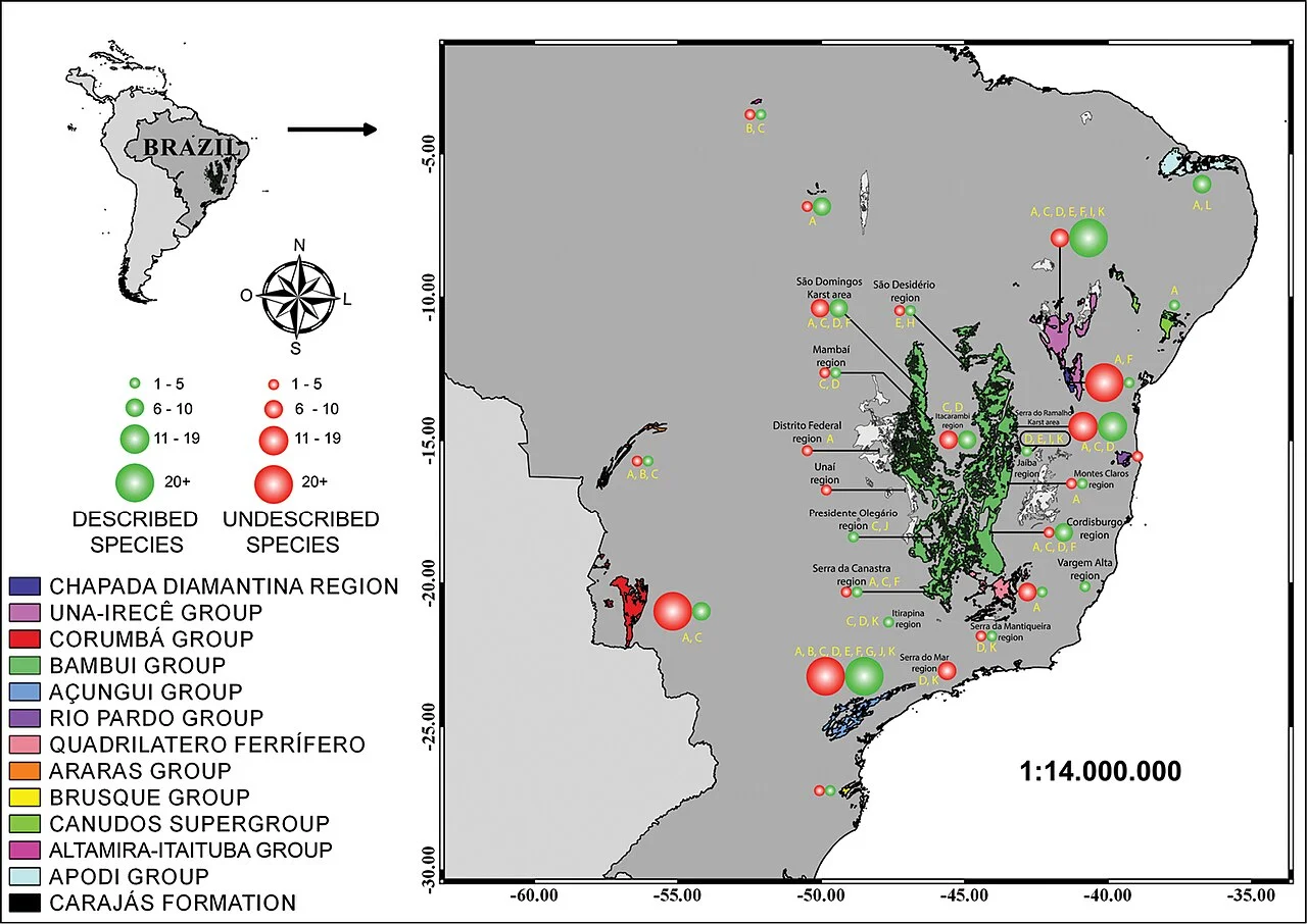 Photo of Luislândia