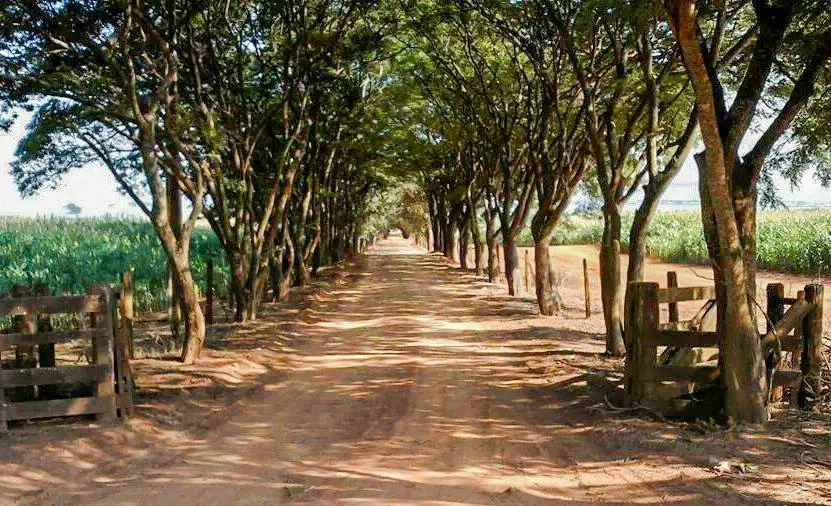 Photo of Lupionópolis