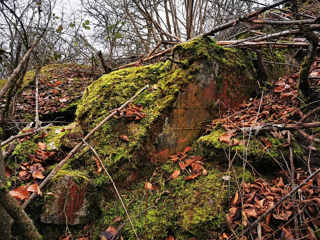 Photo of Lutzelhouse