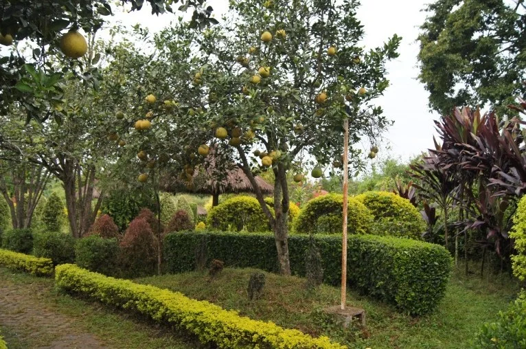 Photo of Luwangsangbam