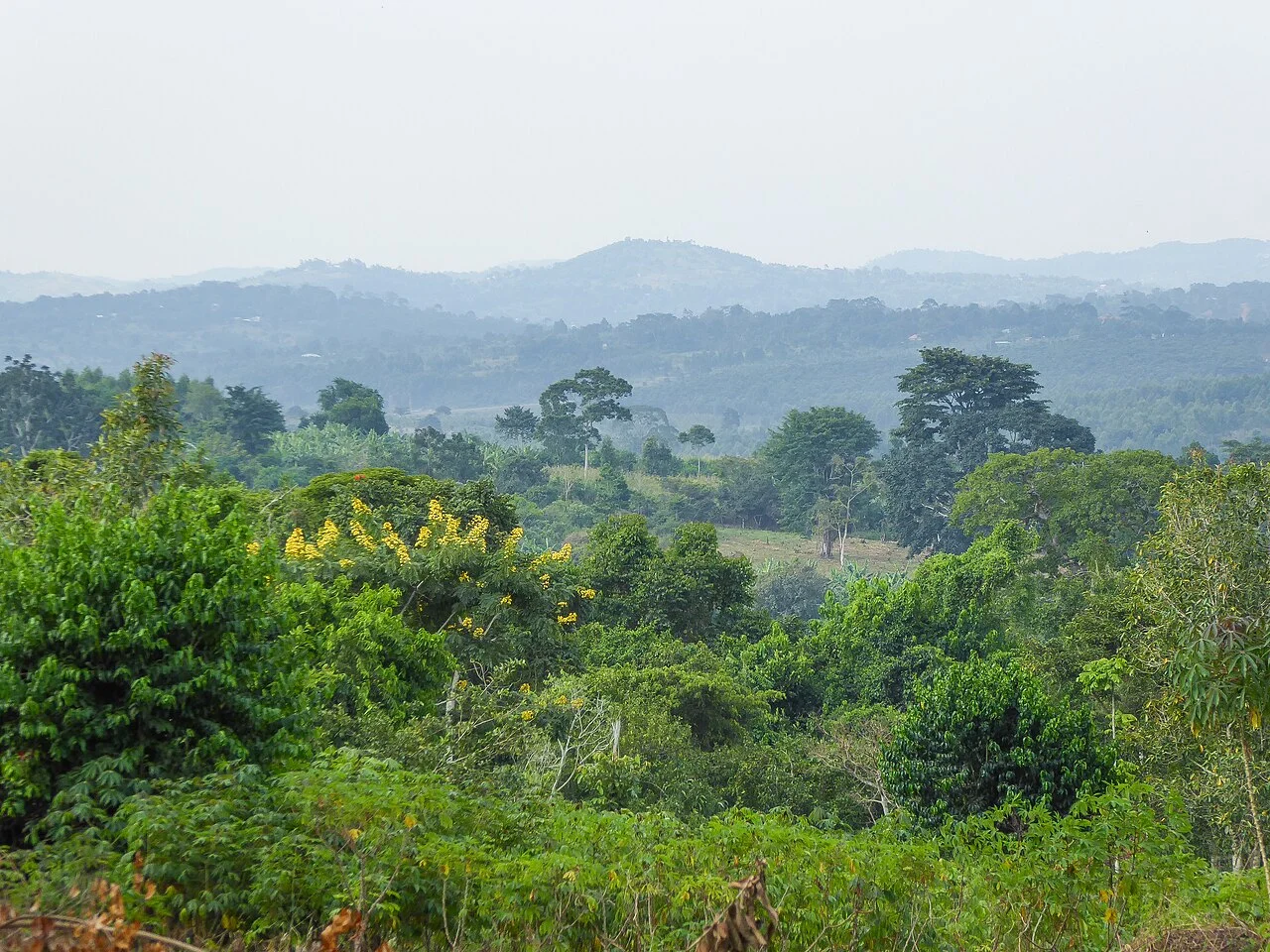 Photo of Luwero