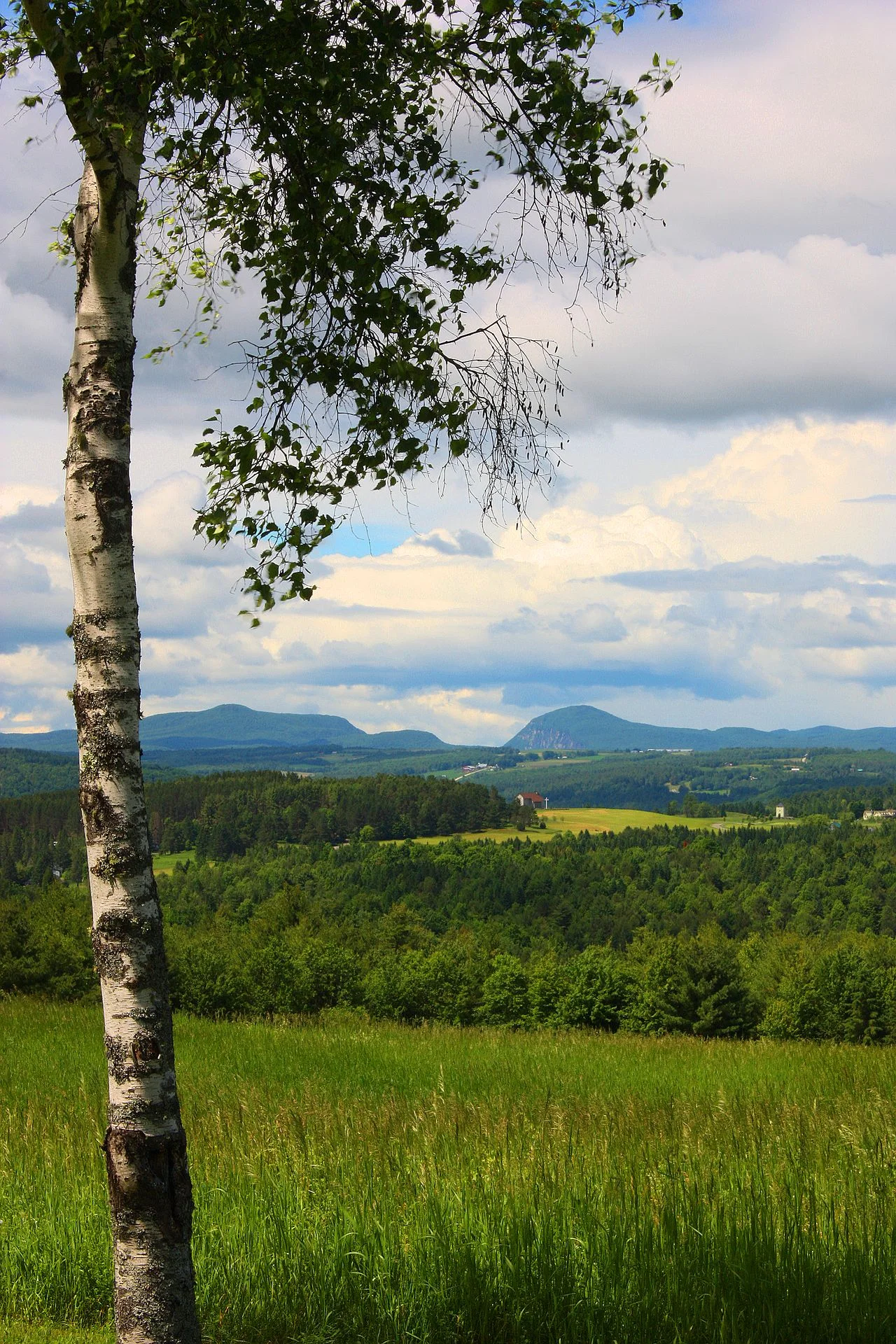 Photo of Lyndonville