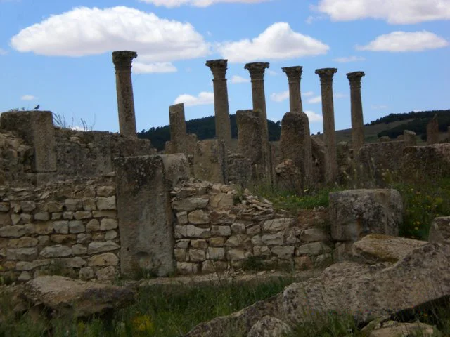 Photo of M’Daourouch