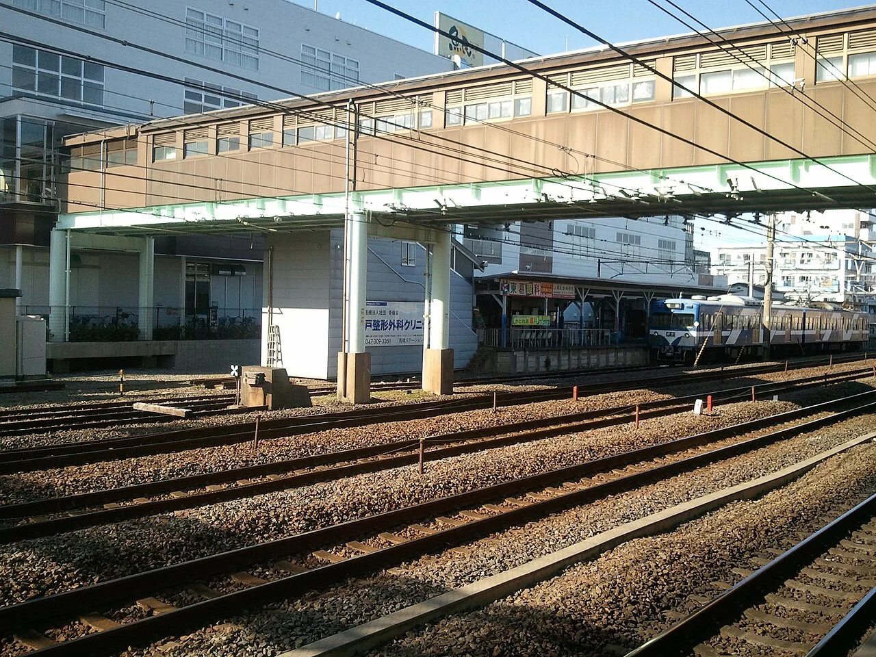 Photo of Mabashi