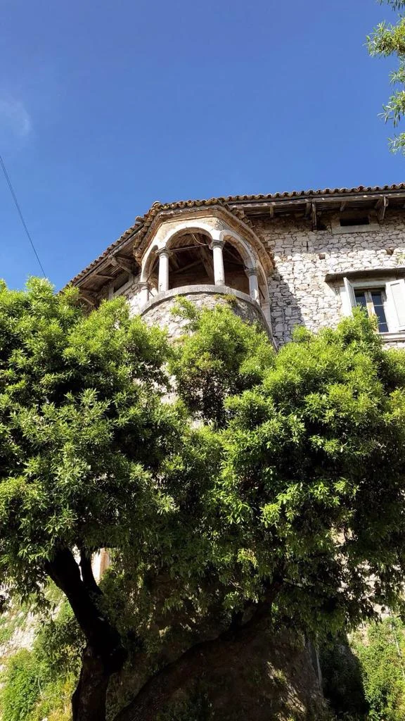 Photo of Macchia d'Isernia