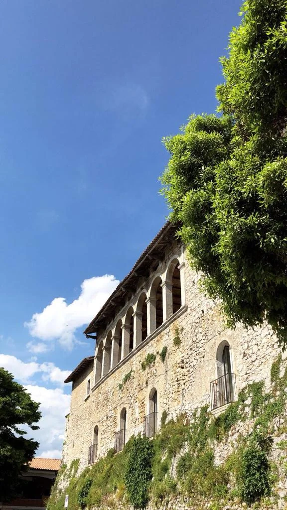 Photo of Macchia d'Isernia