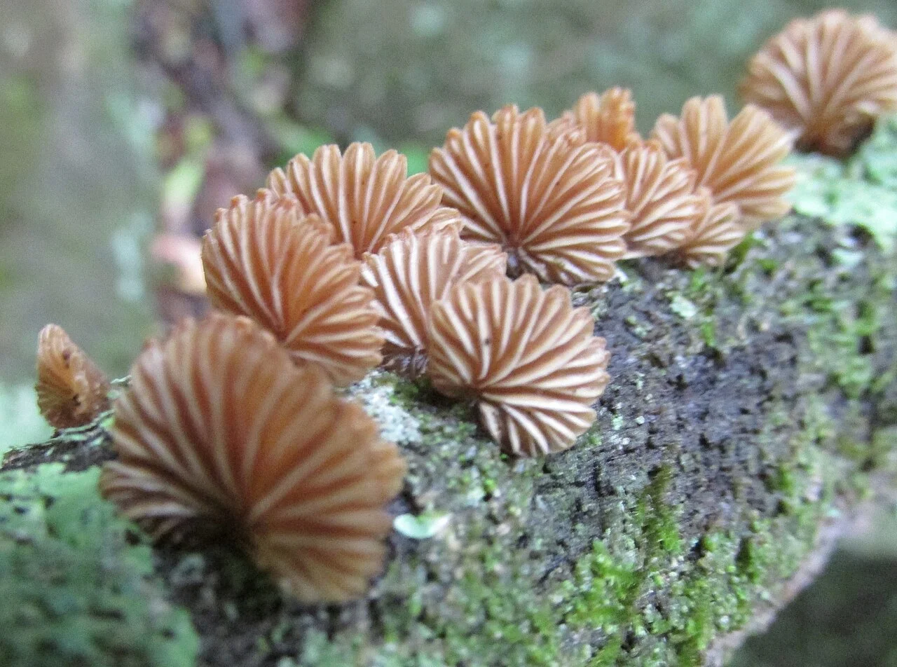 Photo of Machadodorp