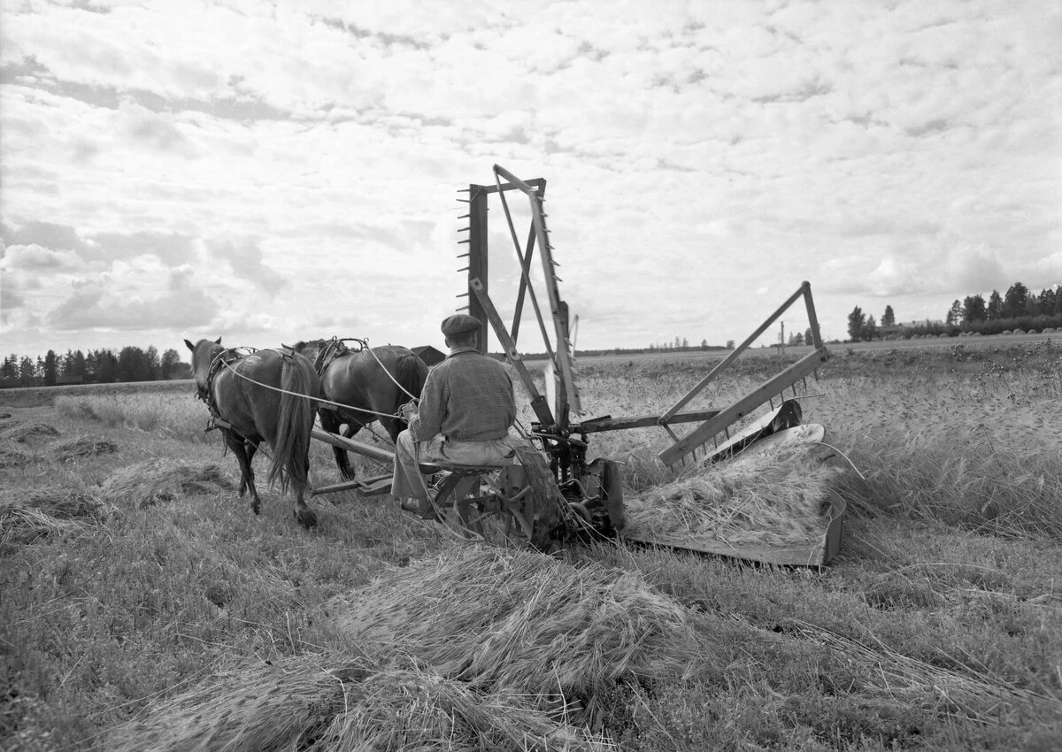 Photo of Mäntsälä