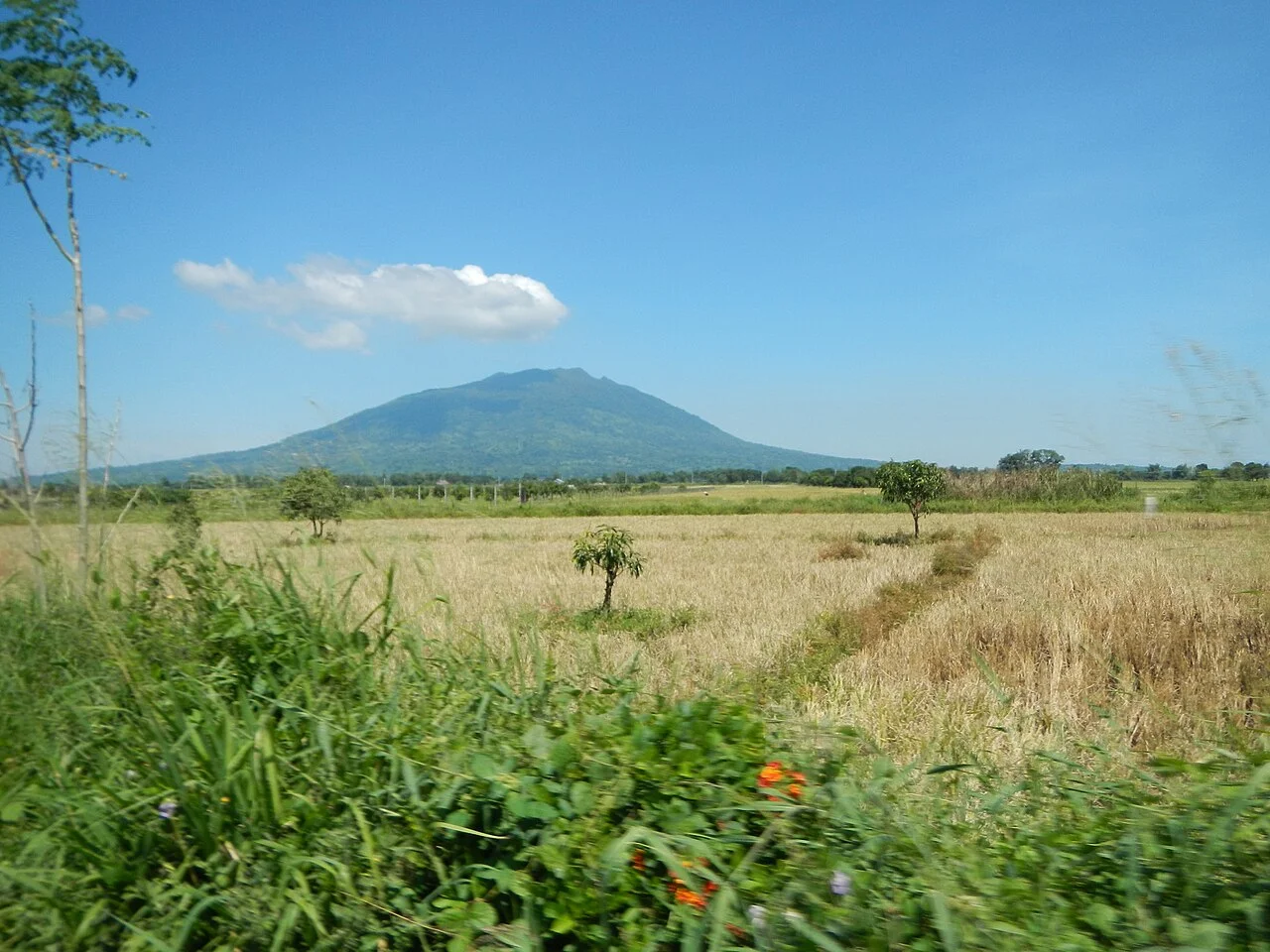 Photo of Magalang