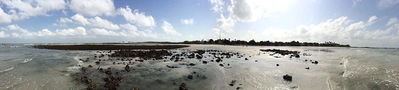 Photo of Magalhães Barata