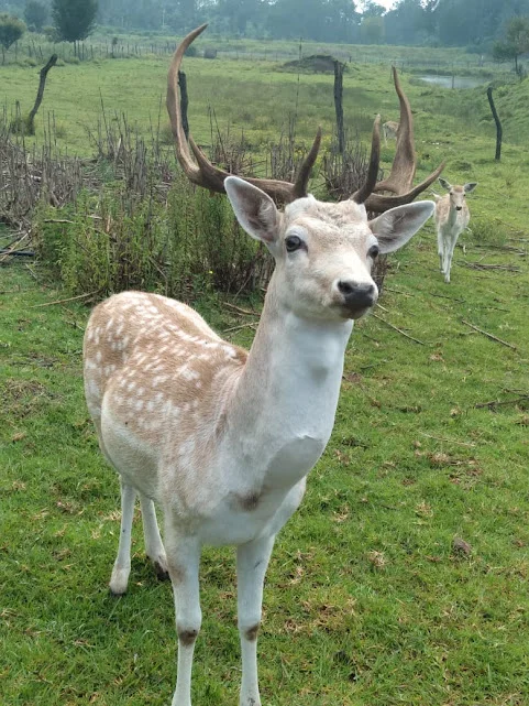 Photo of Magdalena Jaltepec