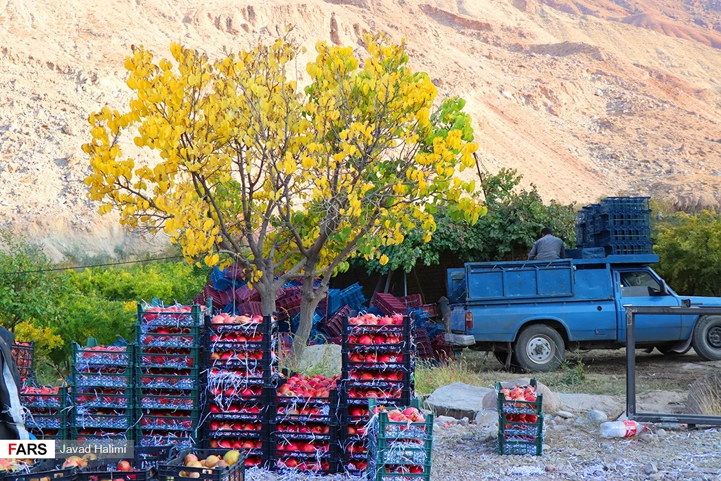 Photo of Mahmudābād