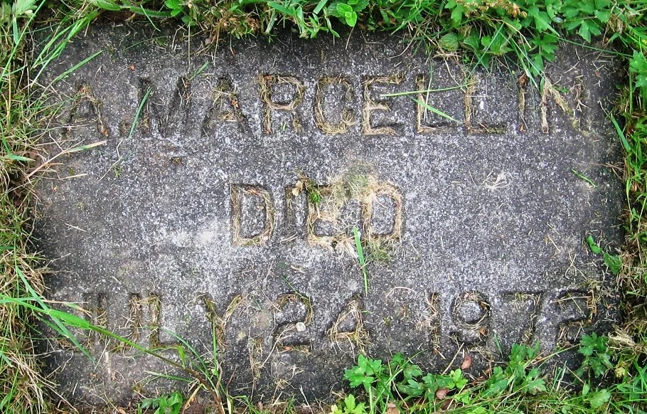 Photo of Maillardville