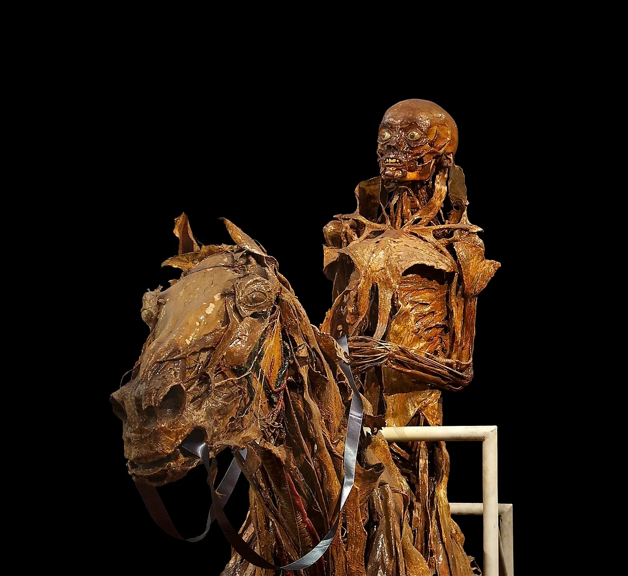 Photo of Maisons-Alfort