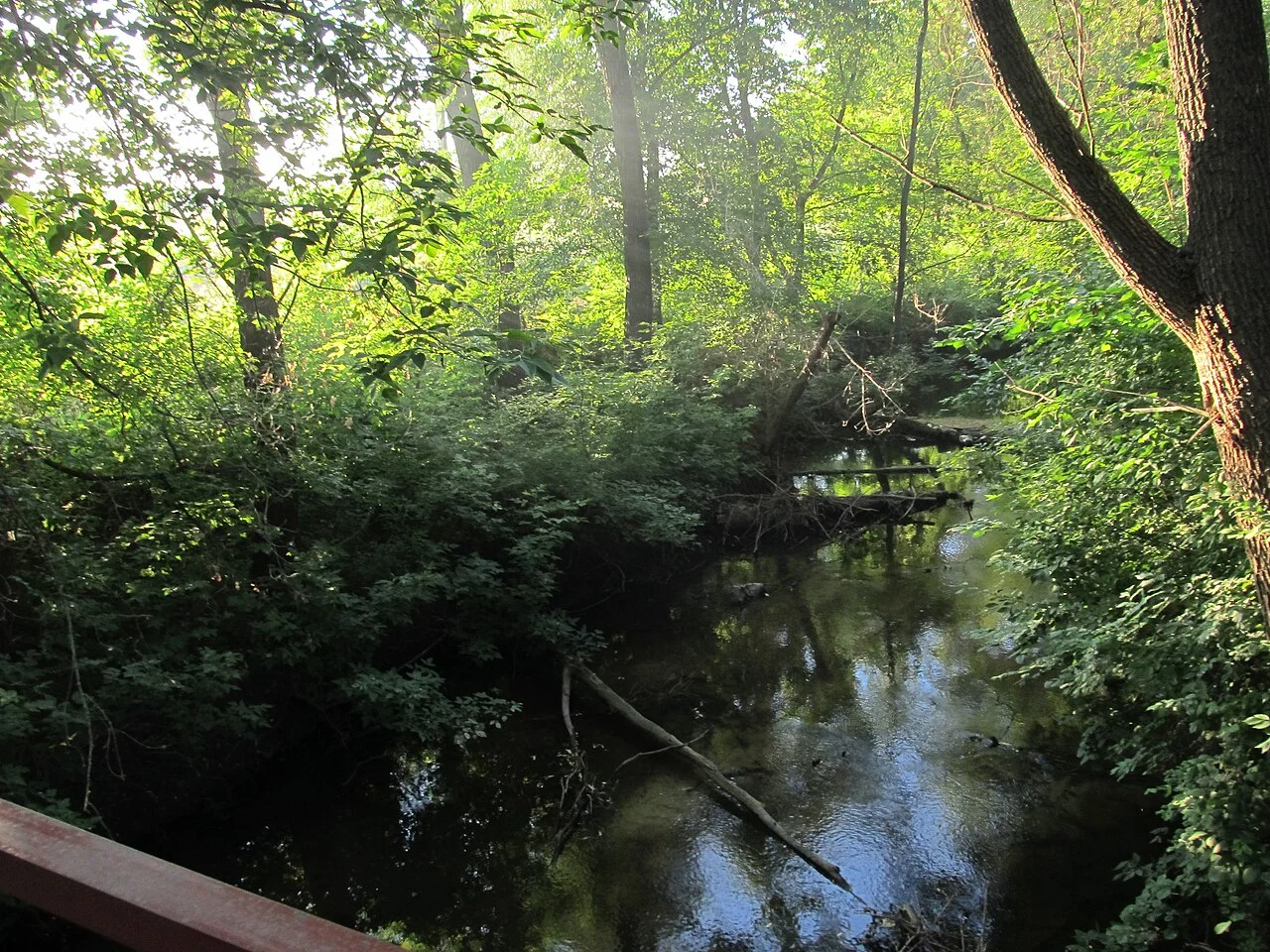 Photo of Mala Danylivka