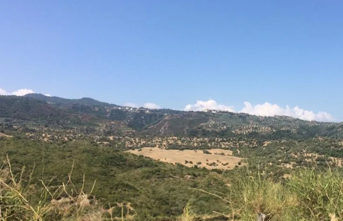 Photo of Mandatoriccio