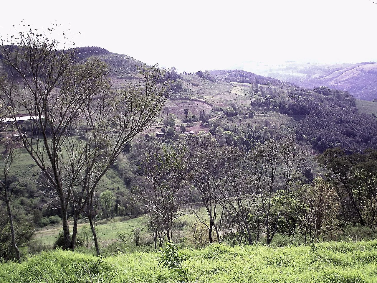 Photo of Manfrinópolis
