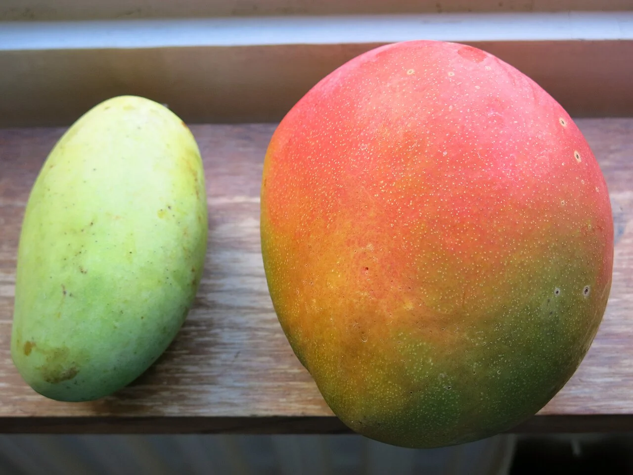 Photo of Mango
