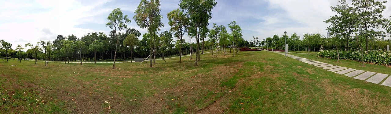 Photo of Mangrove Bay