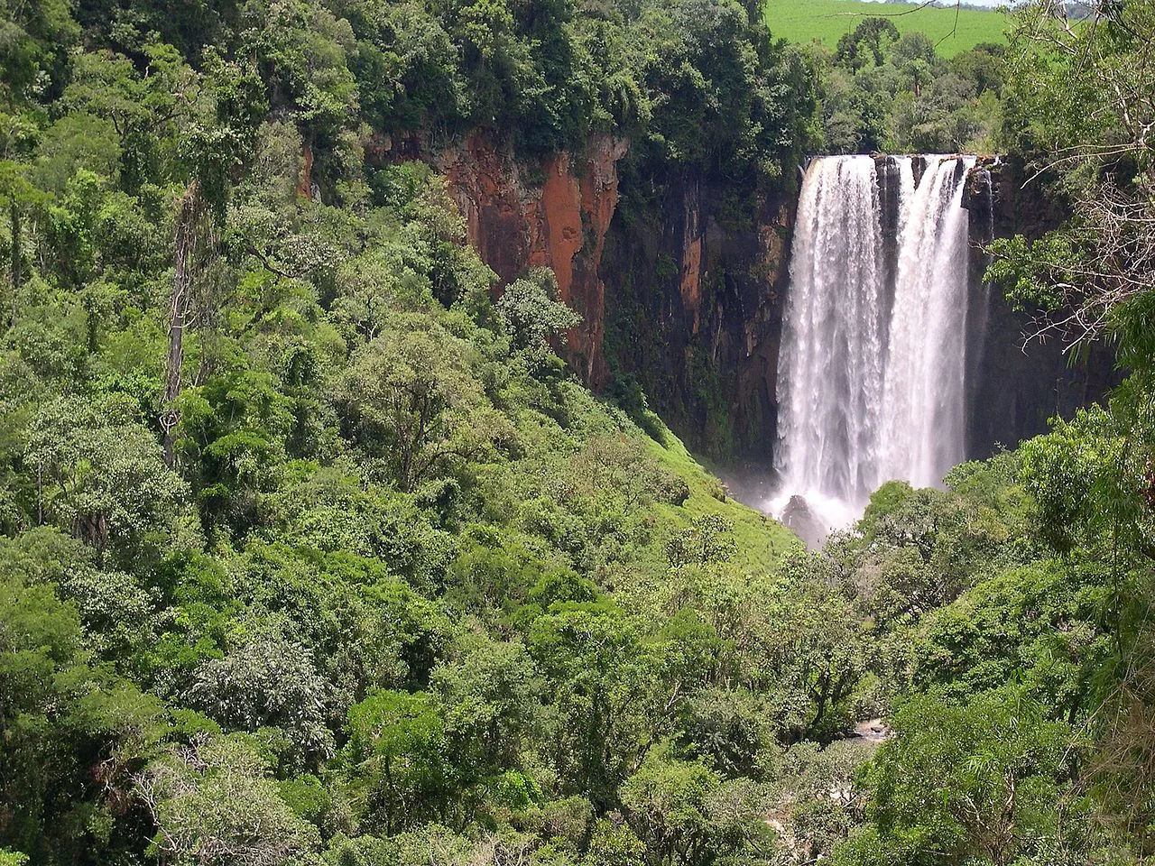 Photo of Manoel Ribas