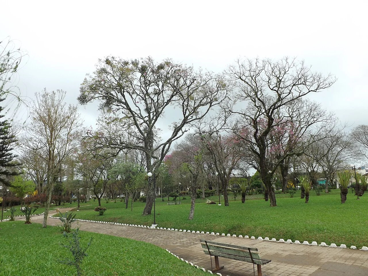 Photo of Manoel Viana