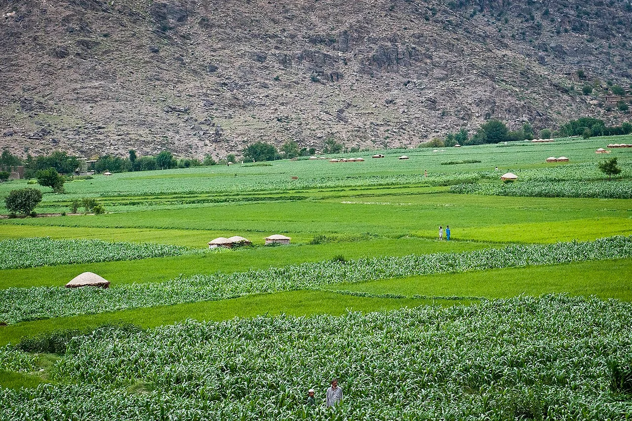 Photo of Māṉōgay