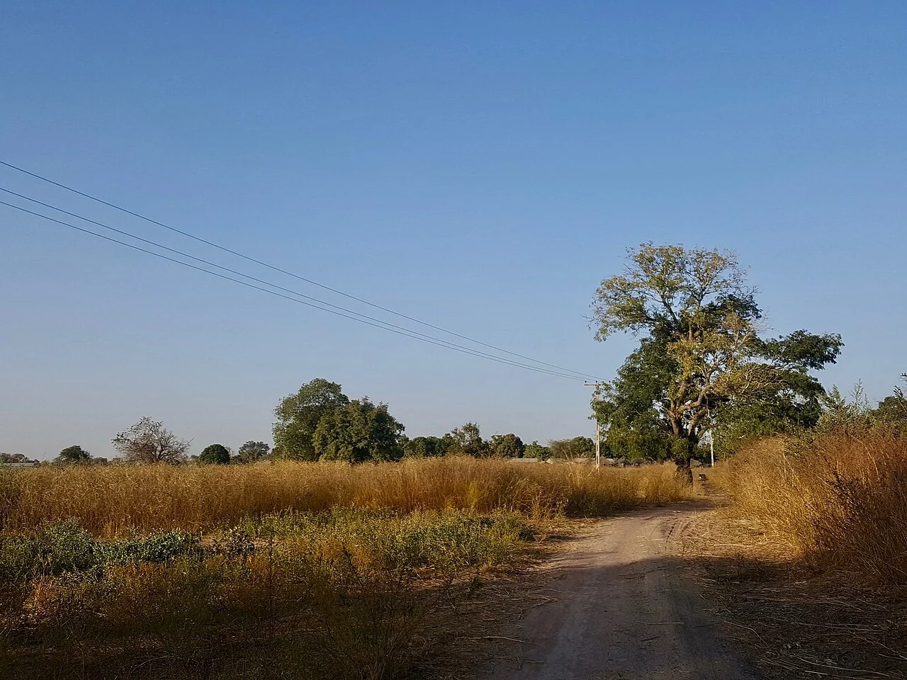 Photo of Mansa Konko