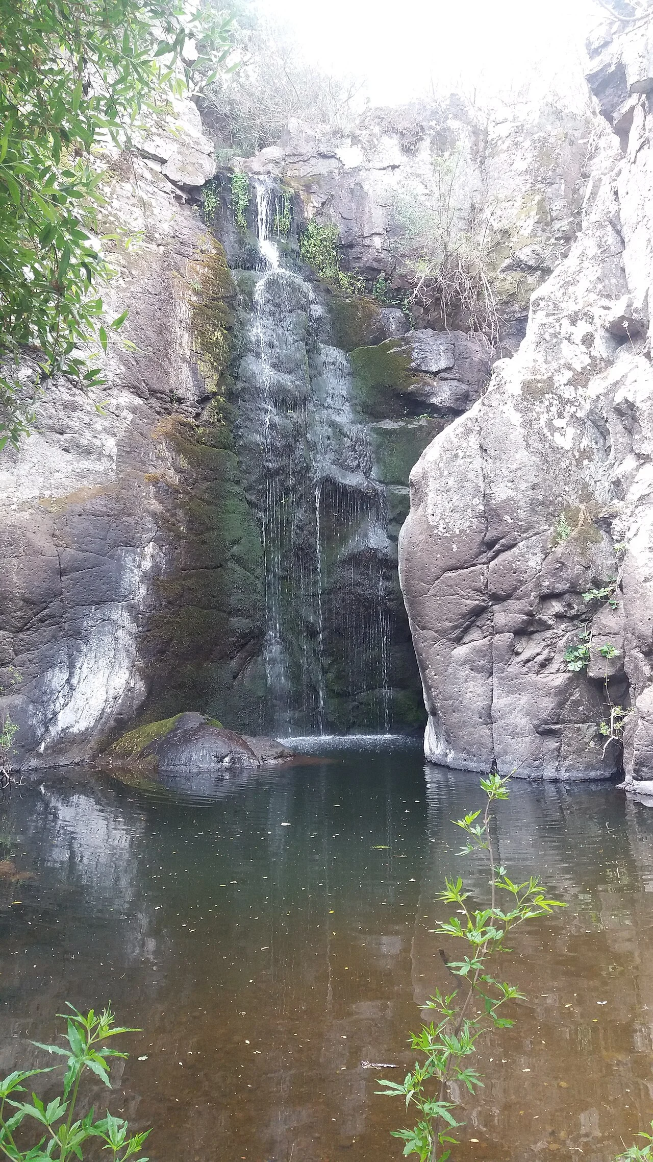 Photo of Mantamádos