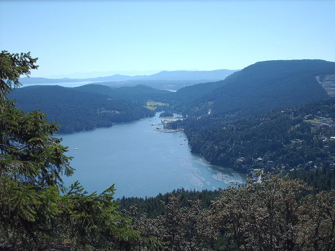 Photo of Maple Bay