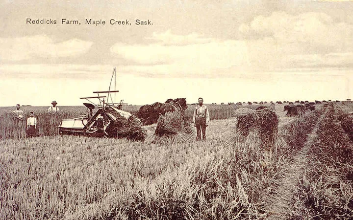 Photo of Maple Creek
