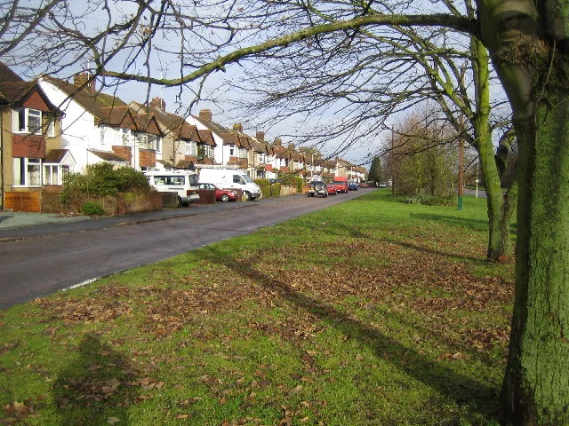 Photo of Maple Cross