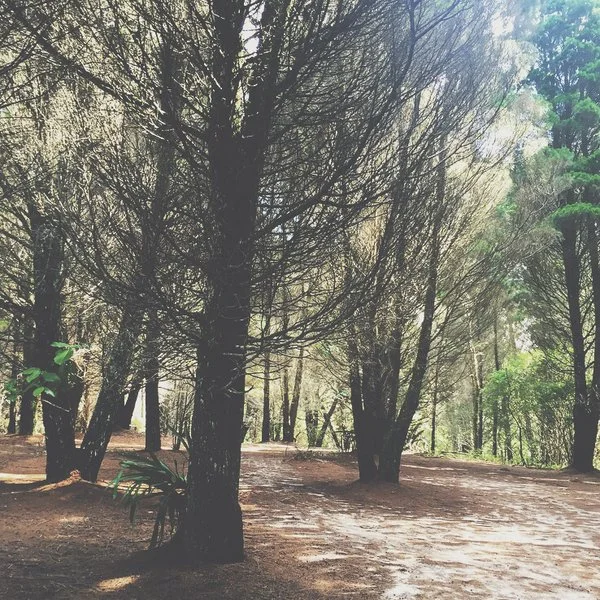 Photo of Mar Vermelho