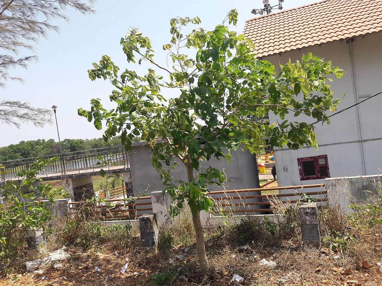 Photo of Māranchēri