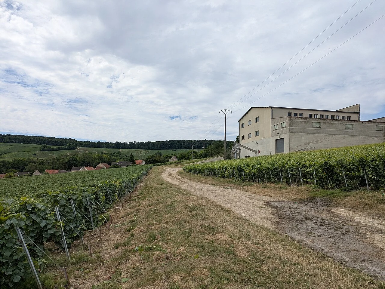 Photo of Mareuil-le-Port