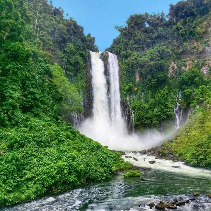 Photo of Maria Cristina