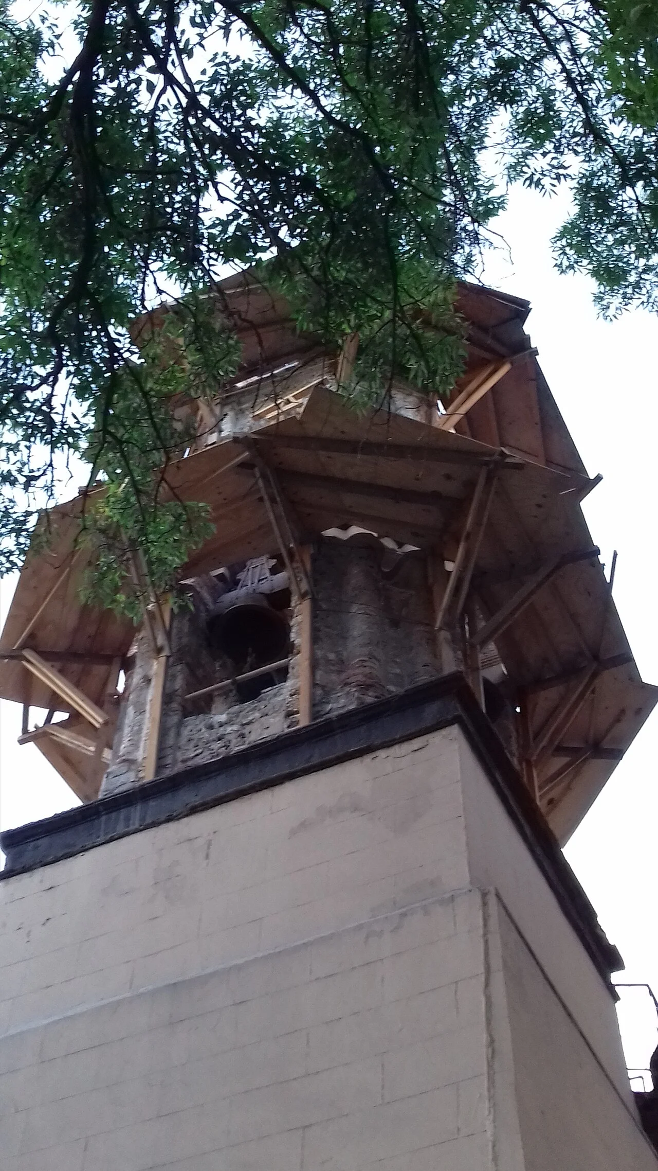 Photo of María de la Torre