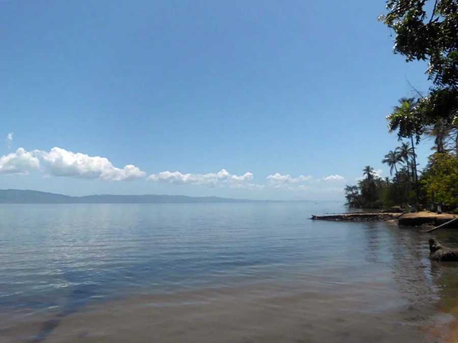 Photo of Marigüitar