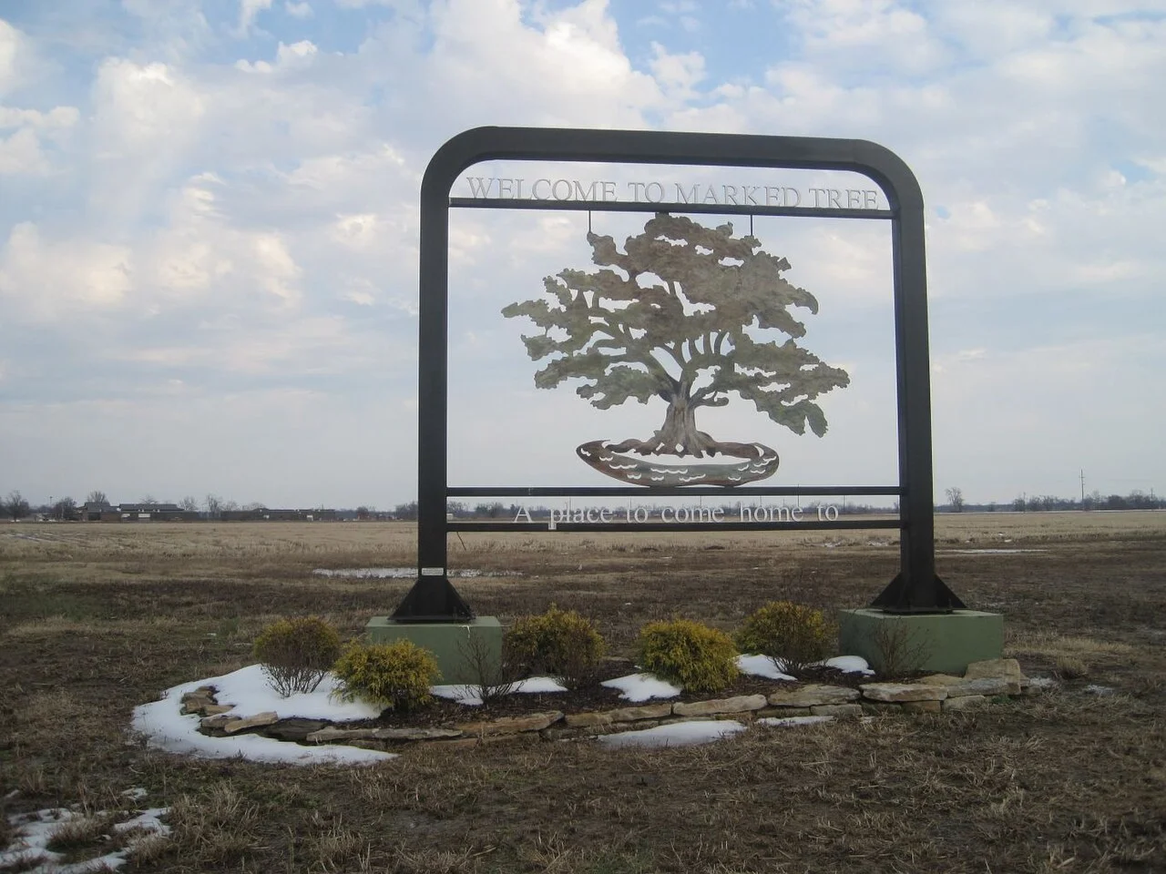 Photo of Marked Tree