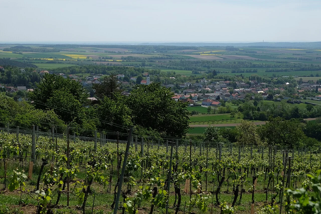 Photo of Markt Neuhodis