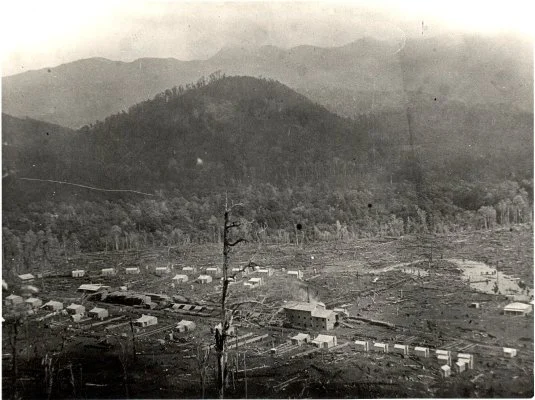 Photo of Marlborough