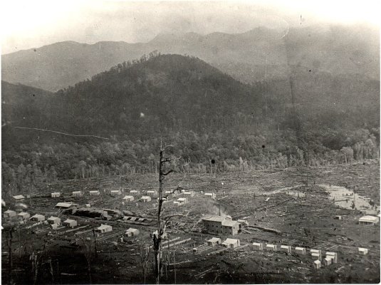 Brownlee's Canadian type double decker type mill at Carluke. This unit had a concrete foundation and three boilers which supplied the engine which developed 50 horse power. It opened 18 October 1907 and was fed with logs from Rimu and Ronga Valleys. The lower sections of the prized stand of timber in the Opouri Valley were all that they could cut at the Marlborough Timber Co. had been granted milling rights for the head of the valley. 
The mill had a capacity of 600.000 feet per month but never reach this. In 1915 they had completed their cutting rights and the mill closed.