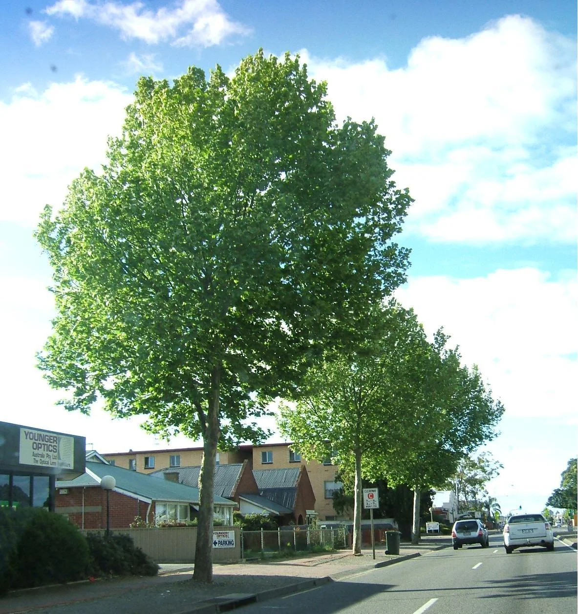 Photo of Marleston
