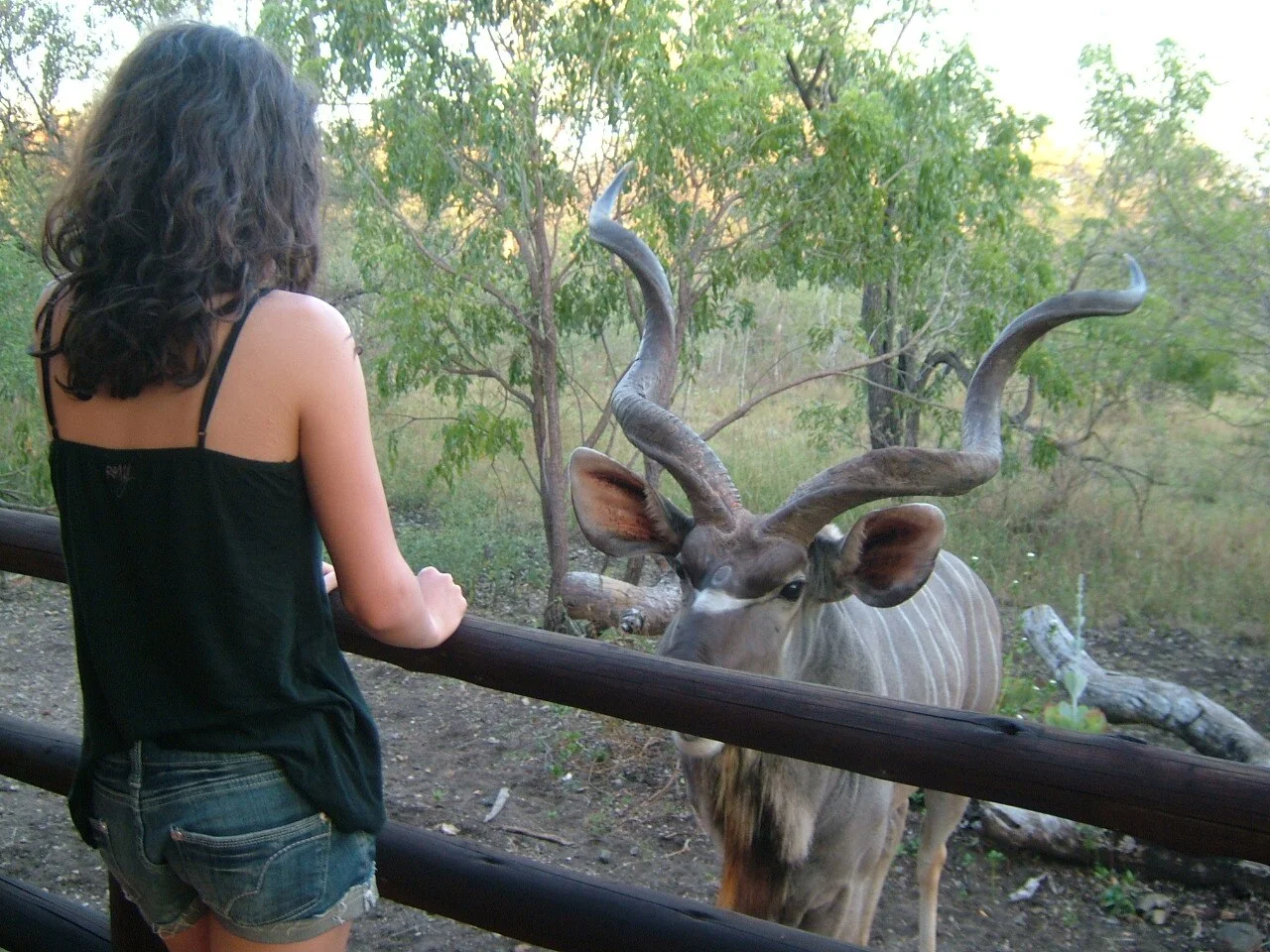 Photo of Marloth Park
