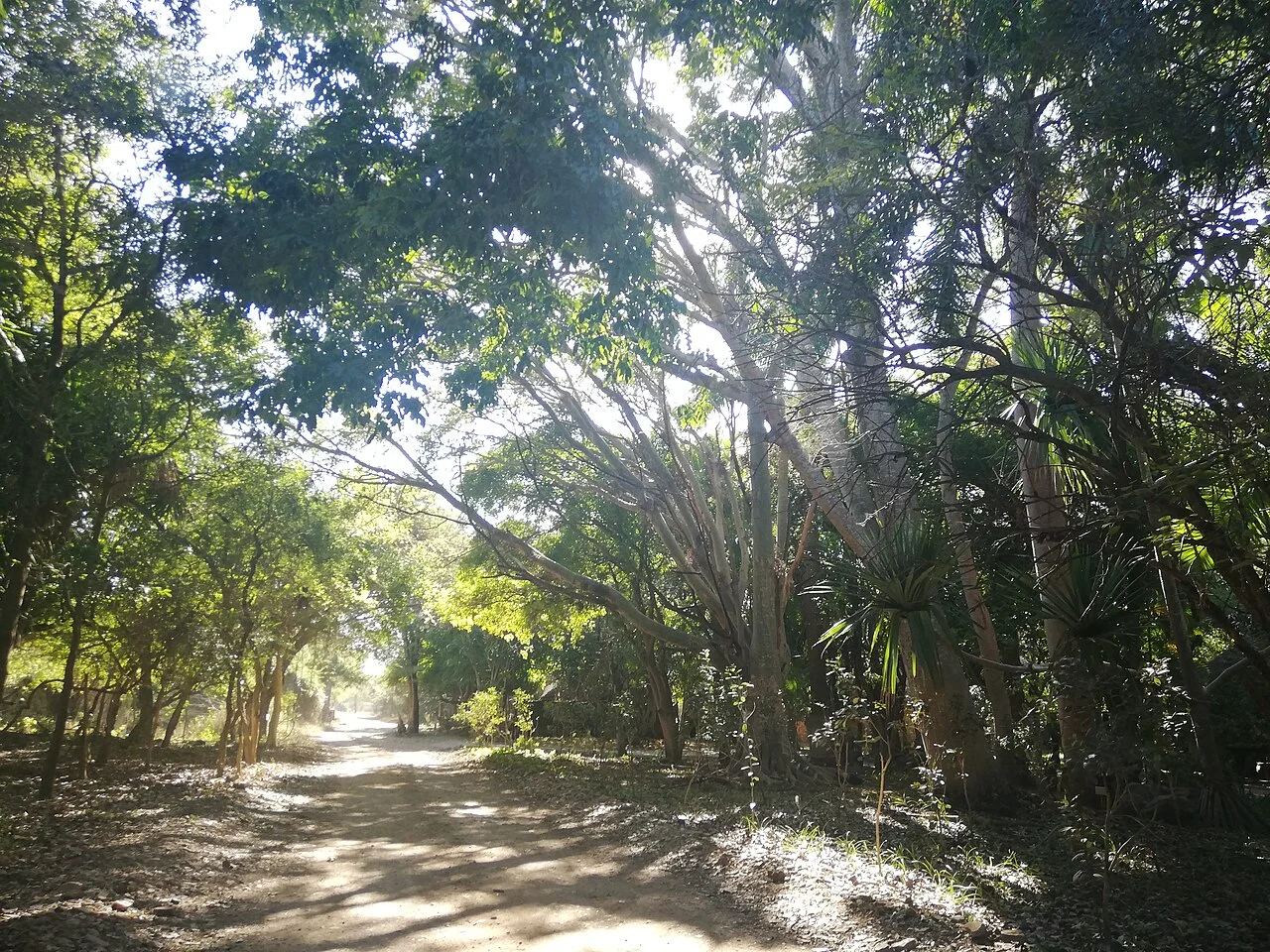 Photo of Marloth Park