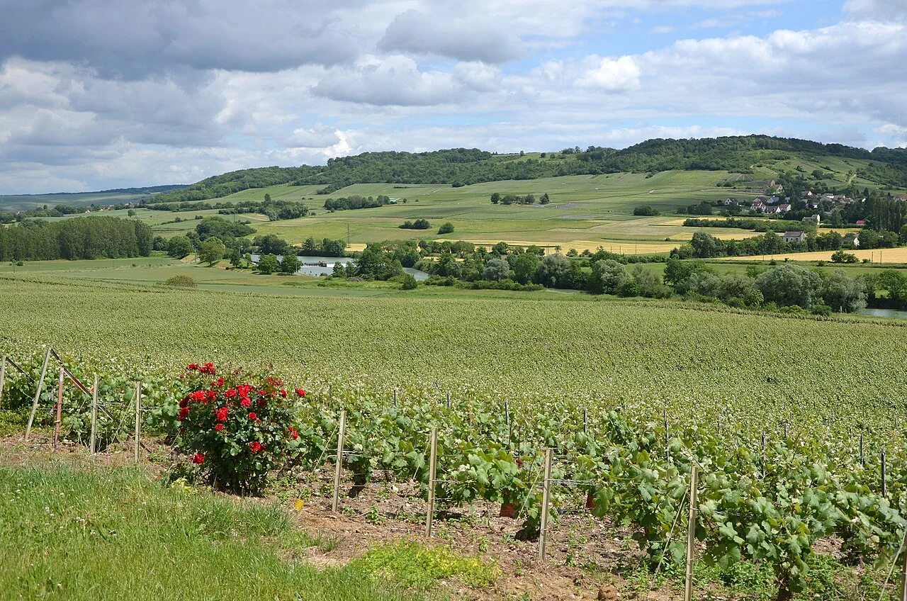 Photo of Marne La Vallée