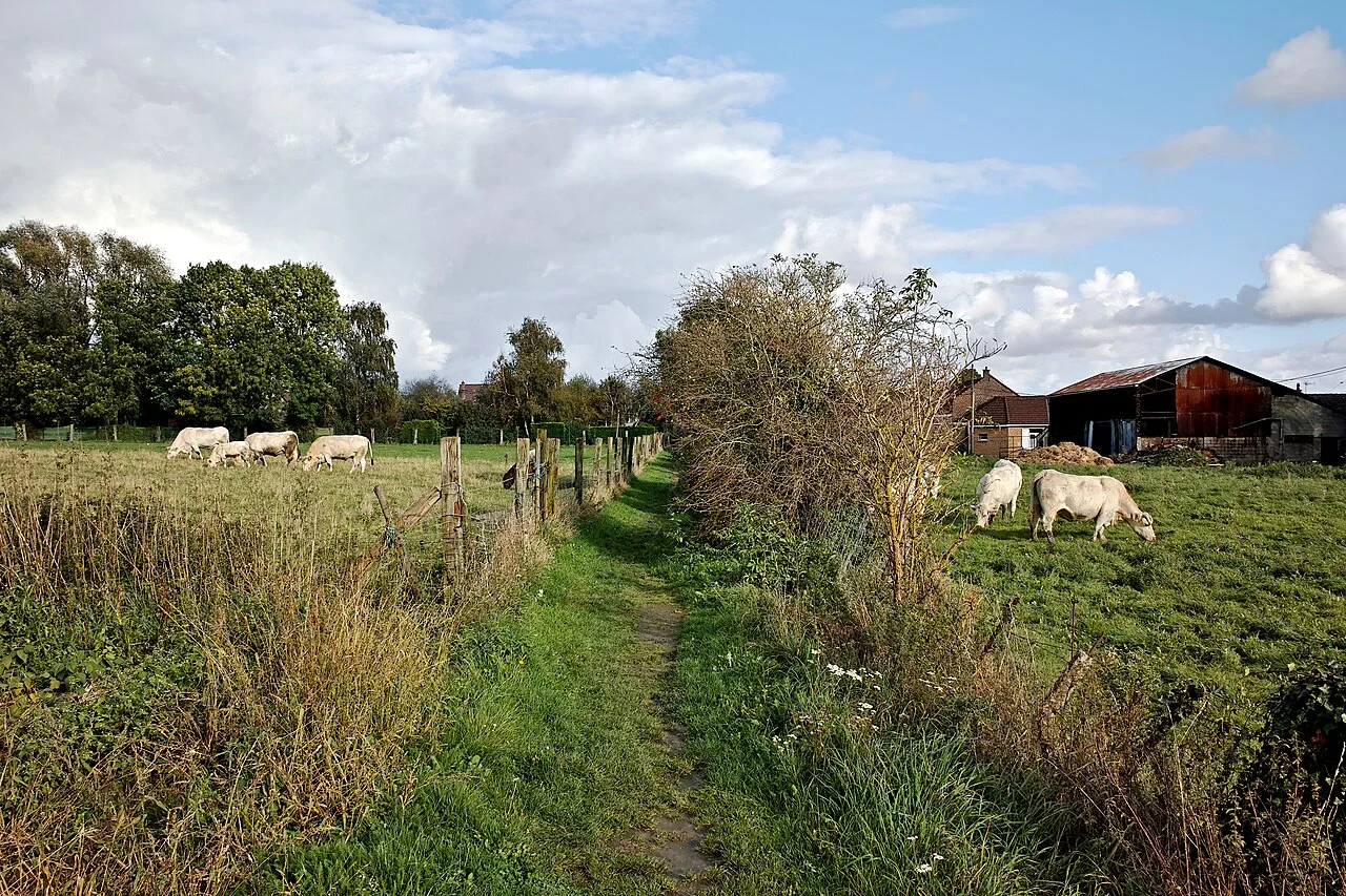 Photo of Marquillies